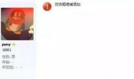 qq网红吃瓜名片大全,带你领略网络红人的魅力世界